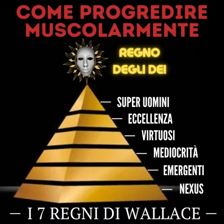 I SETTE REGNI DI MASTER WALLACE COME PROGREDIRE MUSCOLARMENTE