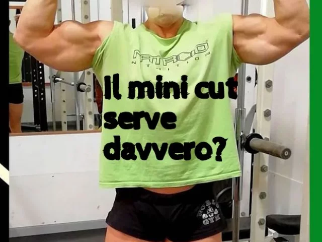 Che cosa è il mini cut e serve davvero in fase di massa? VIDEO