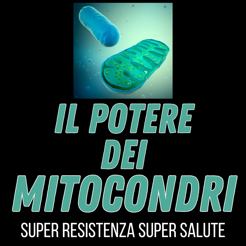 IL POTERE DEI MITOCONDRI