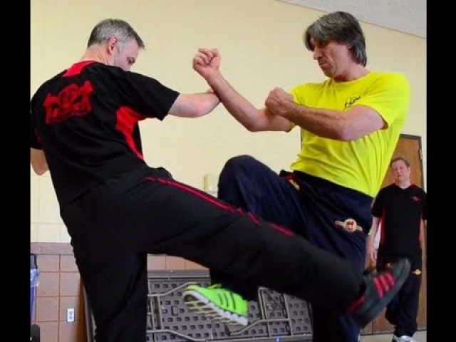 Krav maga vs wing tsun parla master wallace