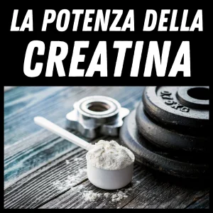 La Creatina per lo sviluppo muscolare