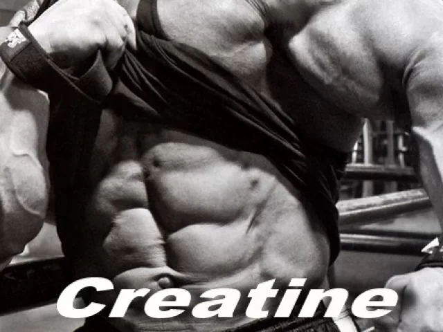 Le nuove creatine funzionano davvero?