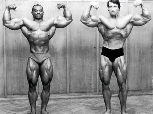 Quali sono le migliori tipologie di allenamento nel bodybuilding?